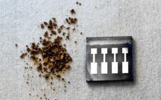 Organic solar cells made of wood