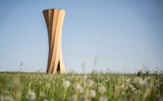 A tower made of self-shaped structural timber