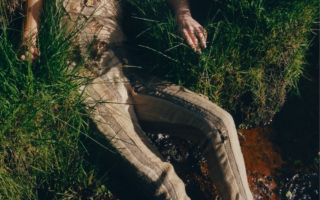 Fungal integrated garments