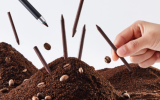 Pencil lead made of waste coffee grounds