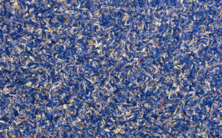 Organoid® GmbH
