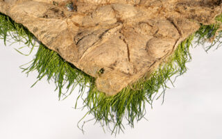 Growing Textiles: Blurring the Lines Between Natural and Synthetic in Biobased and Circular Design