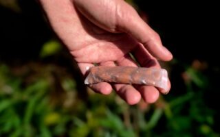 DisSolves: A Plastic-Free Breakthrough in Dissolvable Packaging