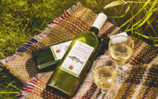 Packamama’s Eco-Flat Wine Bottle: A Sustainable Packaging Solution