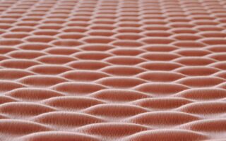 Casalis