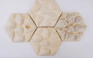Elephant-Inspired Fungi Tiles Offer Passive Cooling for Sustainable Architecture