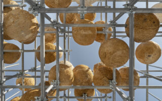 Growing Matter(s): A Living Pavilion Built from Mycelium