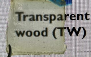 Semi-Transparent, Strong Wood Developed from Natural, Low-Cost Materials