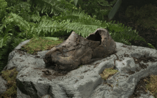 Dirt Shoes: Footwear That Returns to the Earth