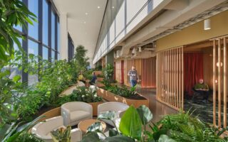 Arvest at Ledger: A Workplace Centred on Biophilic Design and Material Innovation