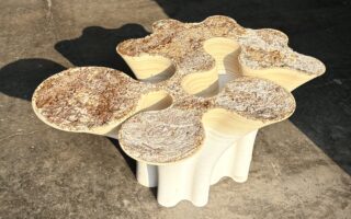 DESERT: Computational Design And Hybrid Biobased Materials In Furniture Research