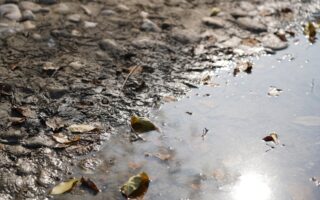 Light-Activated Material Offers A New Route To Cleaner Water