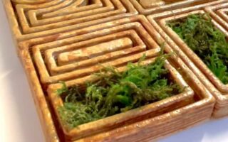 Sponge Building Project