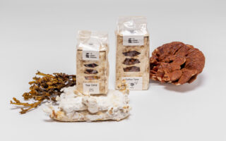 An edible mission