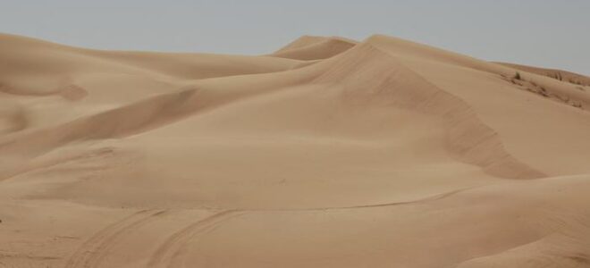 Eco-Friendly Desert Sand Bricks Offer Low-Carbon Alternative To Portland Cement