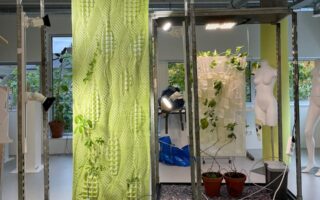 Bioreceptive Textiles Enable Plant–Human Interaction In Interior Spaces
