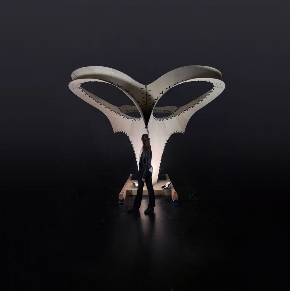 Curve-Fit Timber Enables Free-Form Timber Structures with Flat-Packed Modules