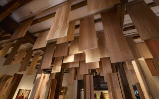 Wood For The Trees Explored The Future Of Responsible Hardwood Use