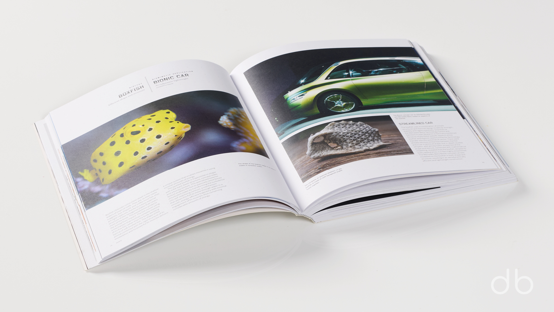 DesignerBooks_BiomimeticsForDesigners_Spreads1.jpg