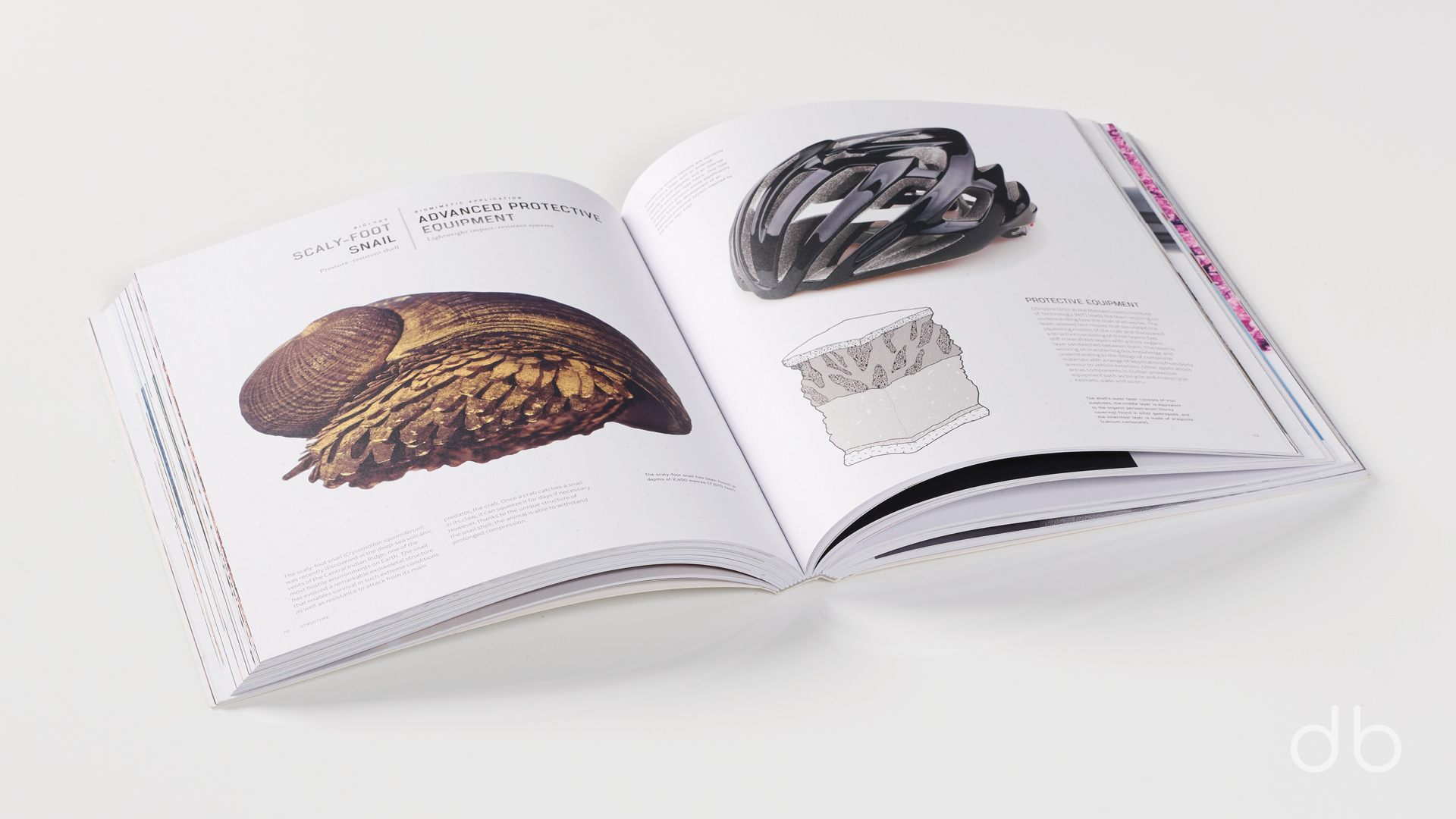 DesignerBooks_BiomimeticsForDesigners_Spreads3.jpg