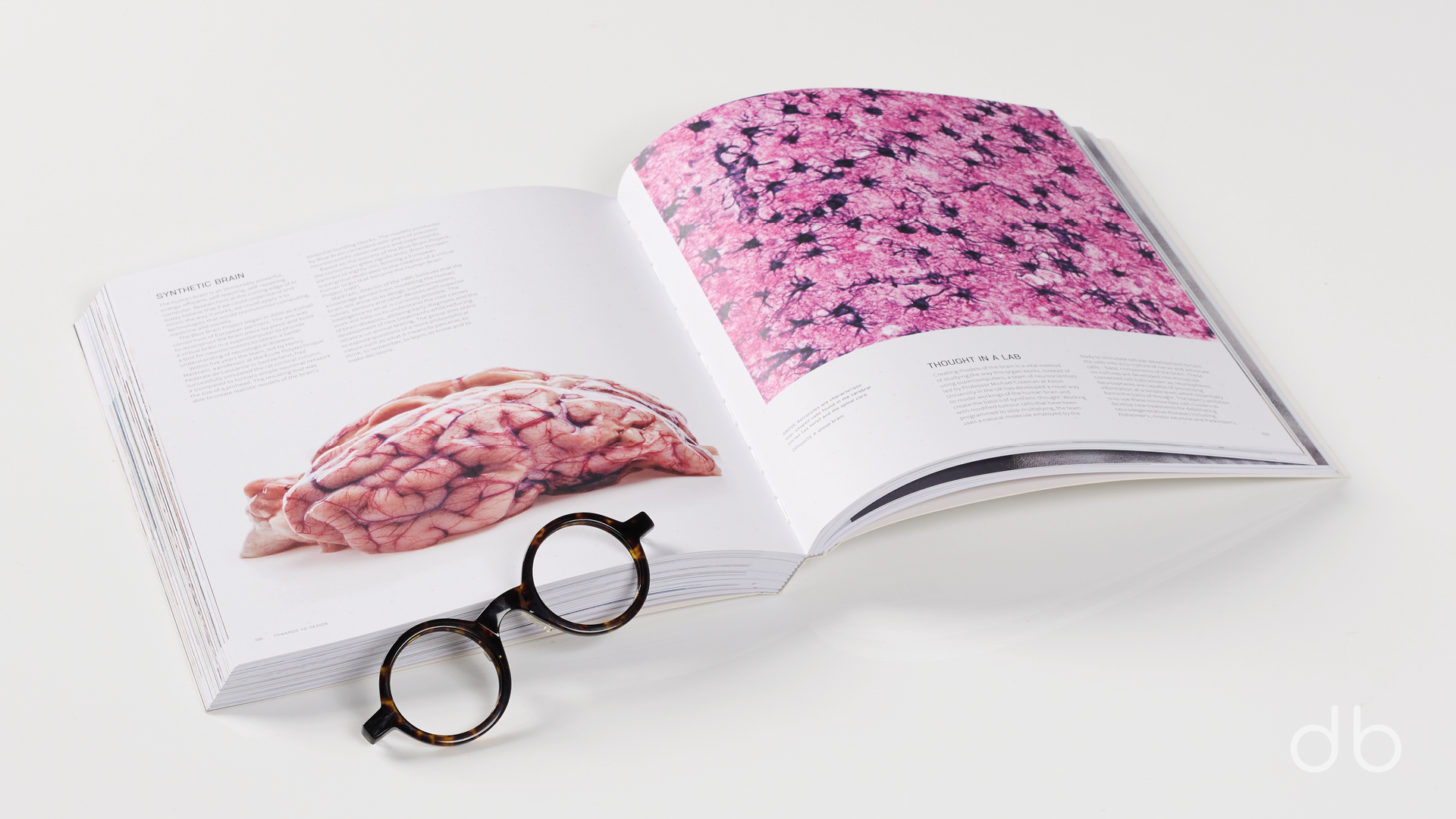 DesignerBooks_BiomimeticsForDesigners_Spreads5.jpg