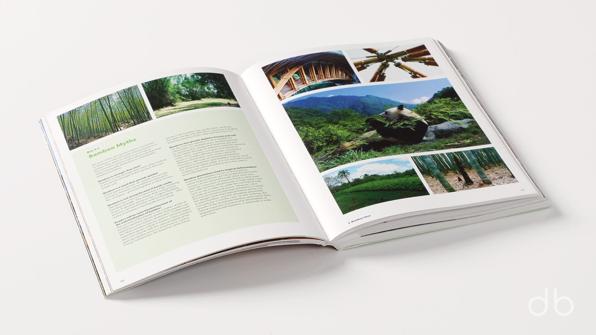 DesignerBooks_BoomingBamboo_Spreads2.jpg