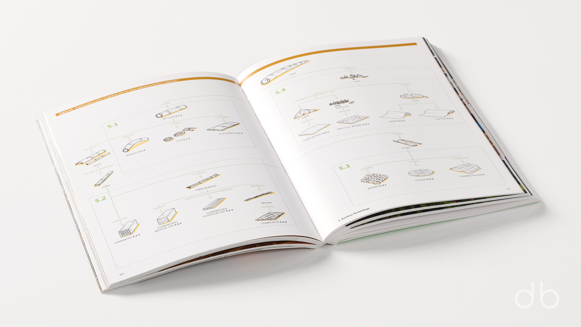 DesignerBooks_BoomingBamboo_Spreads3.jpg