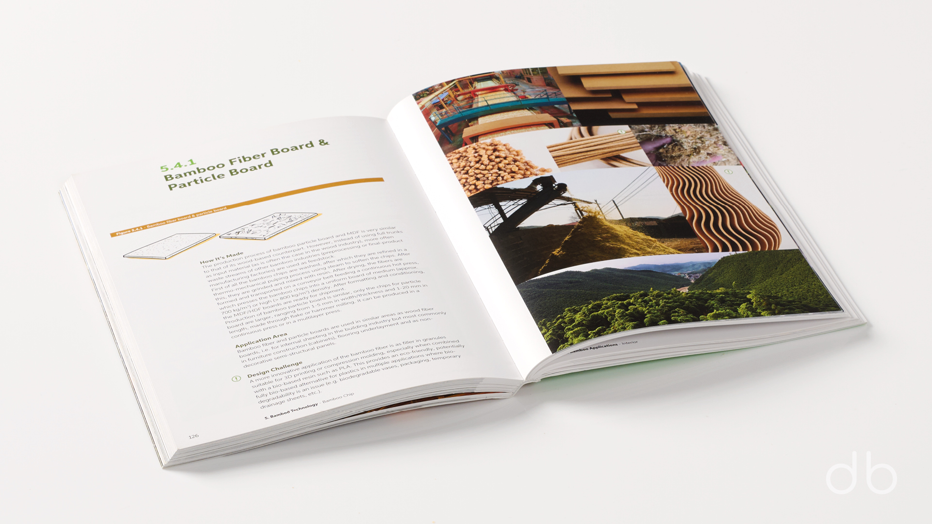 DesignerBooks_BoomingBamboo_Spreads5.jpg