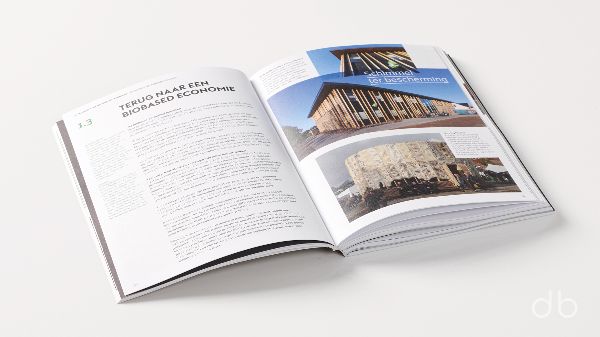 DesignerBooks_DeHoutbouwRevolutie_Spreads1.jpg