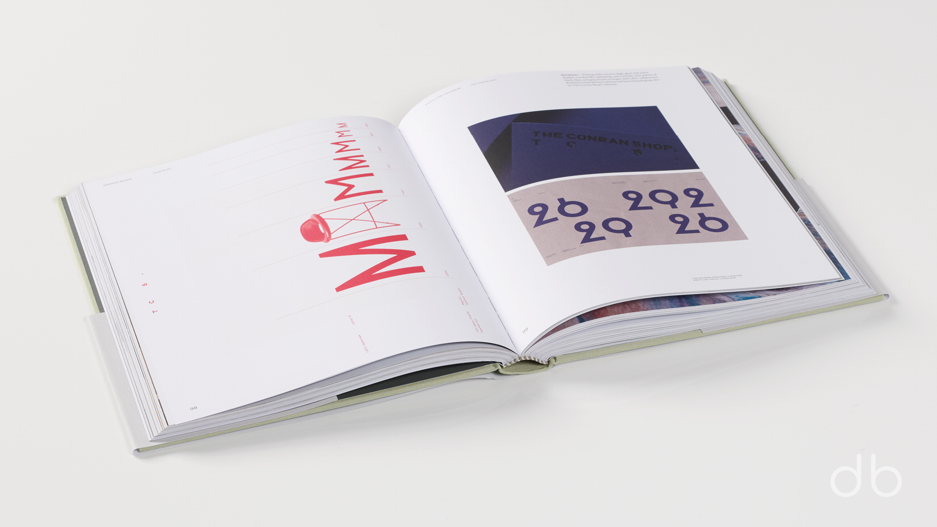 DesignerBooks_DesigningBrands_Spreads1.jpg