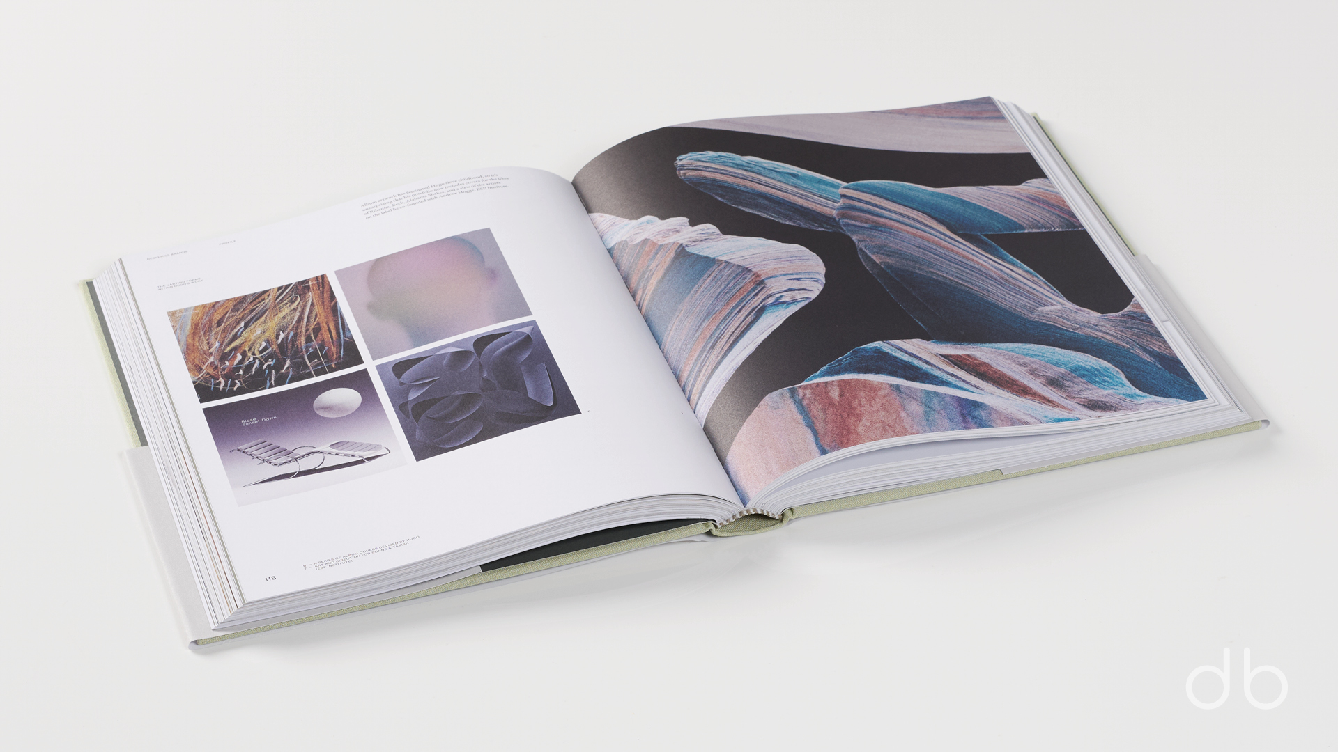 DesignerBooks_DesigningBrands_Spreads2.jpg
