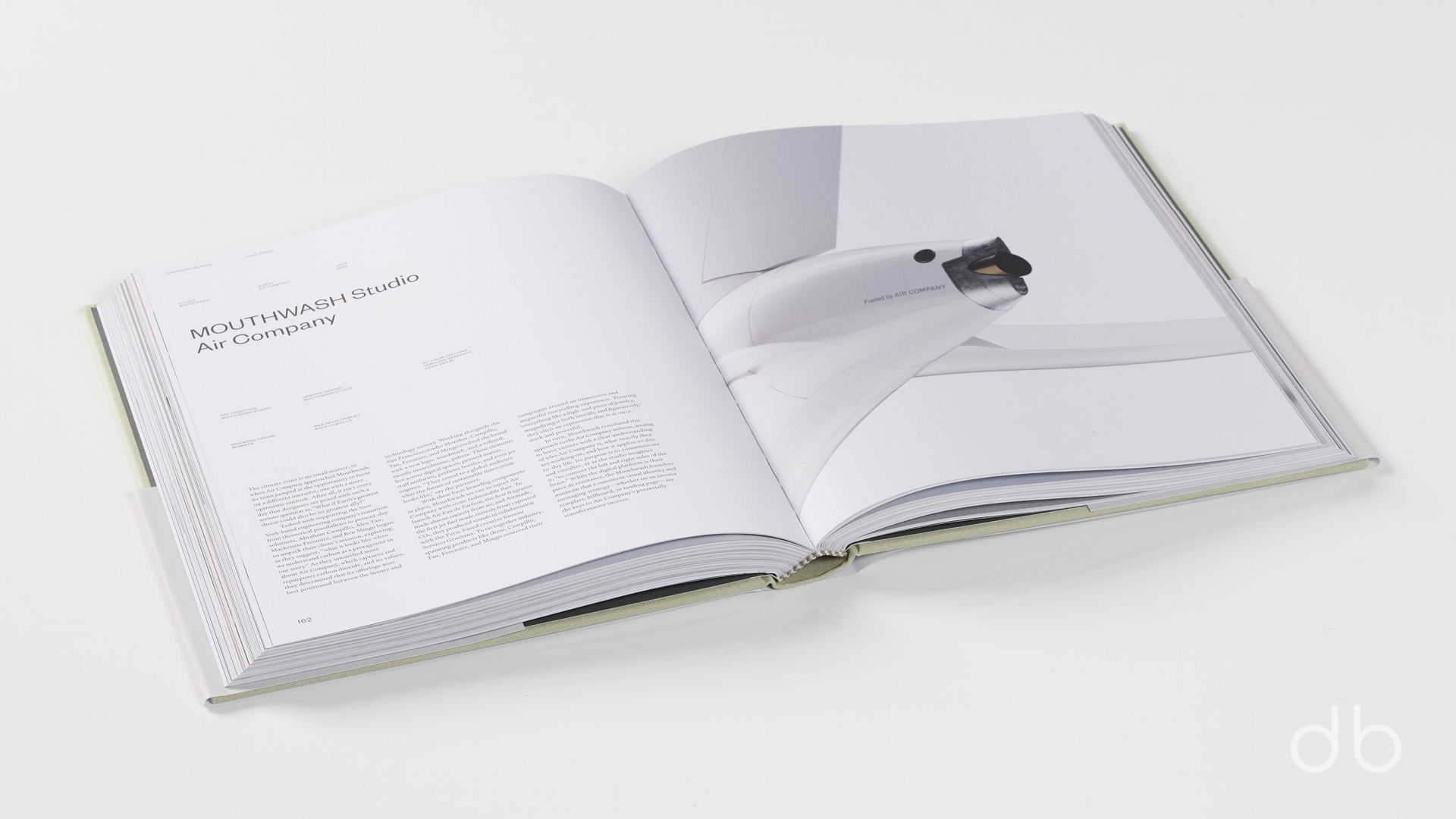 DesignerBooks_DesigningBrands_Spreads4.jpg