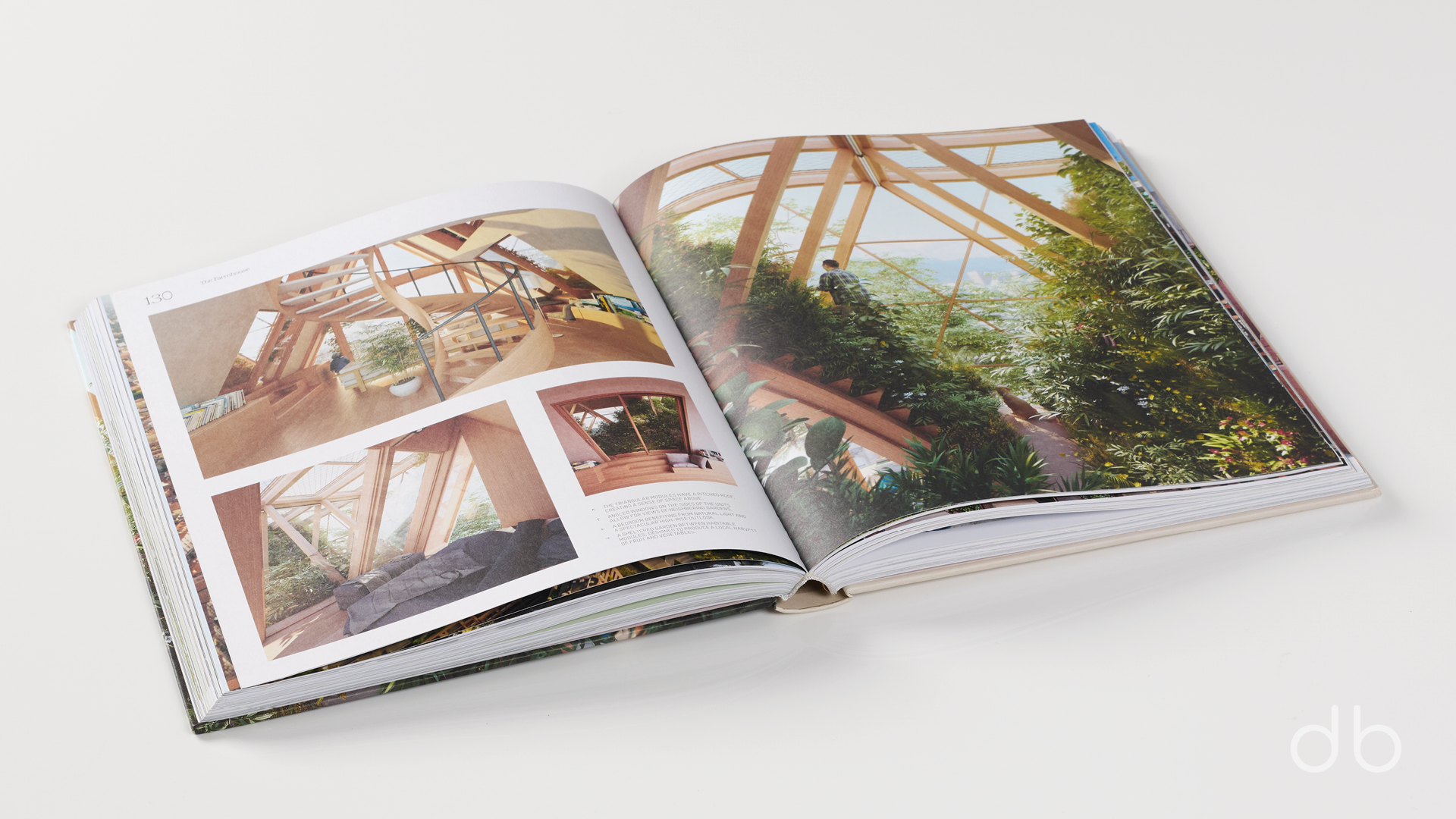DesignerBooks_Evergreen_Spreads3.jpg