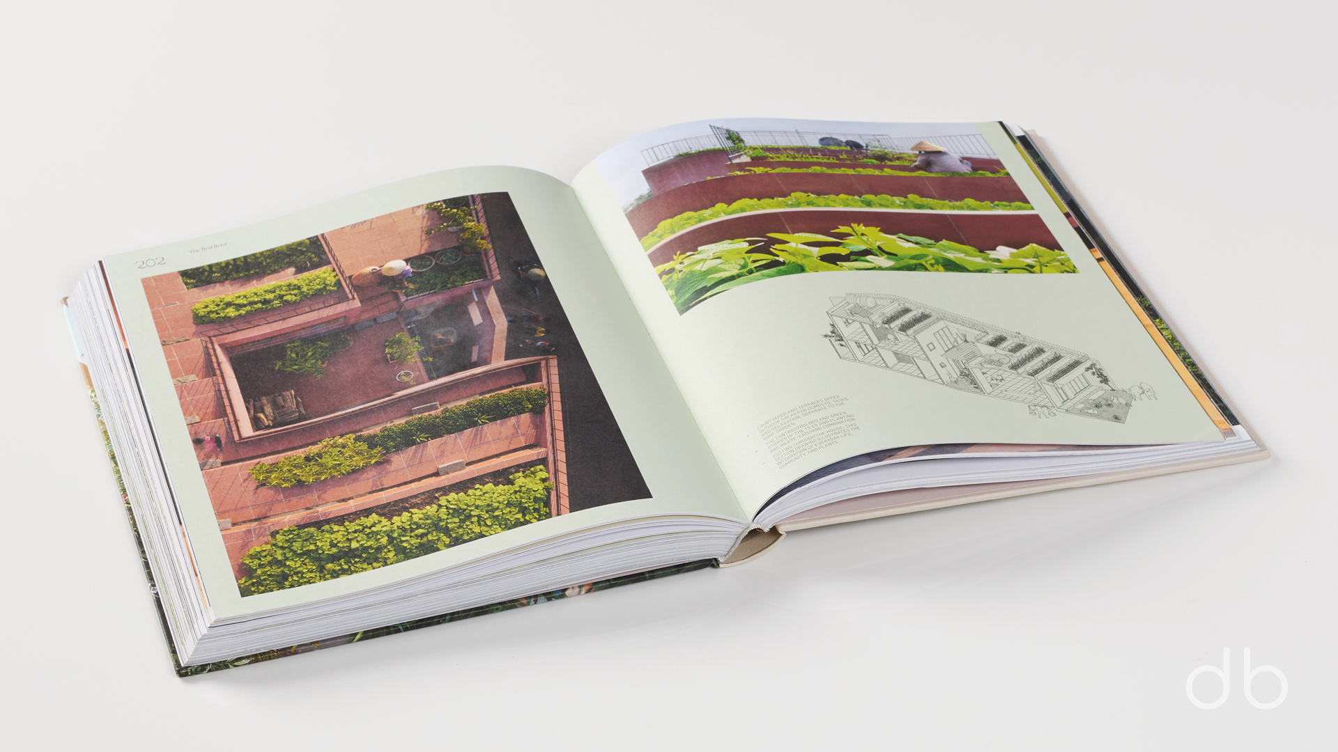DesignerBooks_Evergreen_Spreads4.jpg