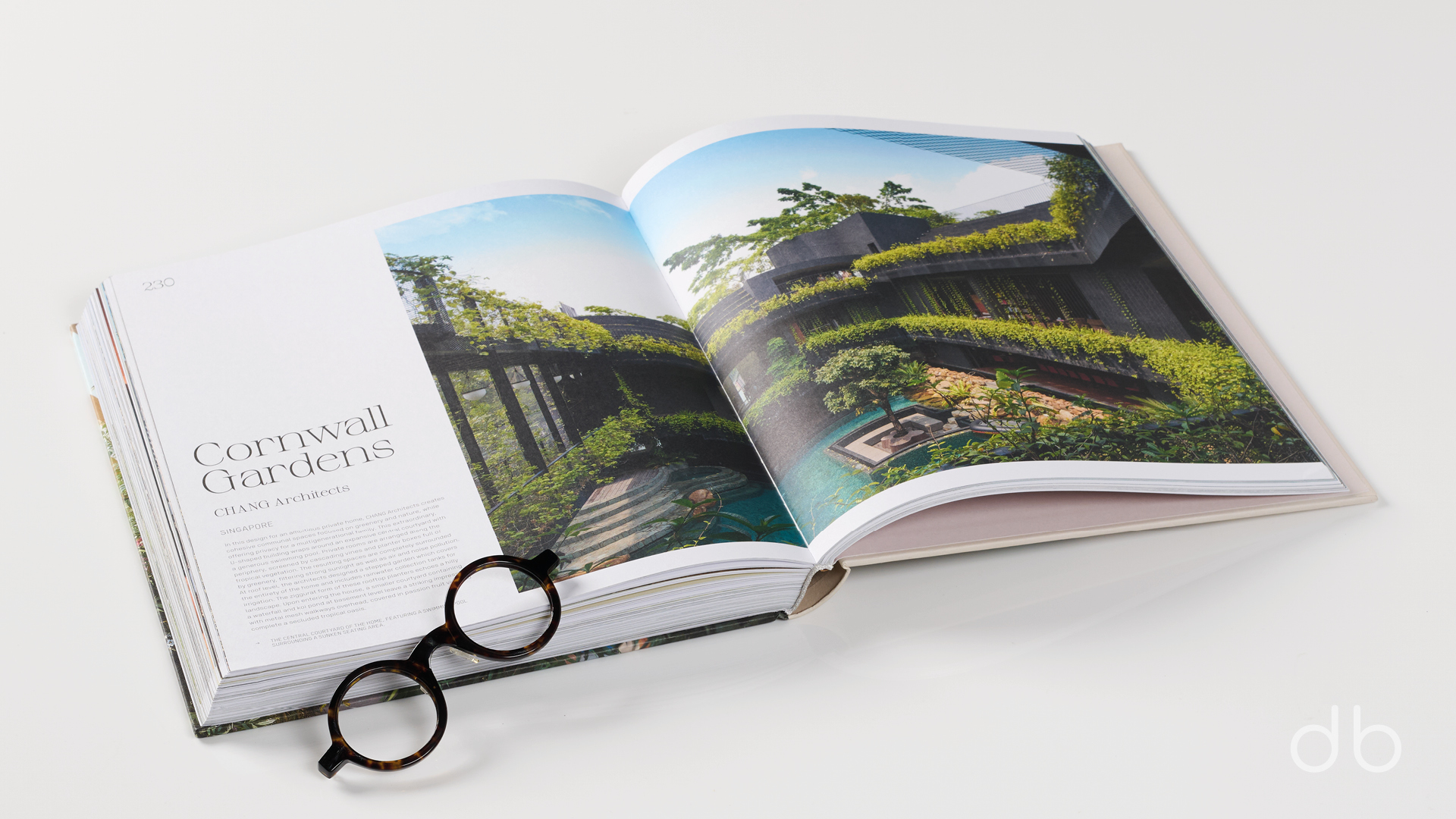 DesignerBooks_Evergreen_Spreads5.jpg
