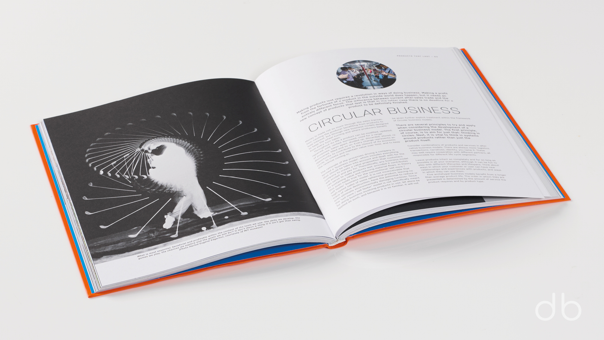 DesignerBooks_ProductsThatLast_Spreads3.jpg