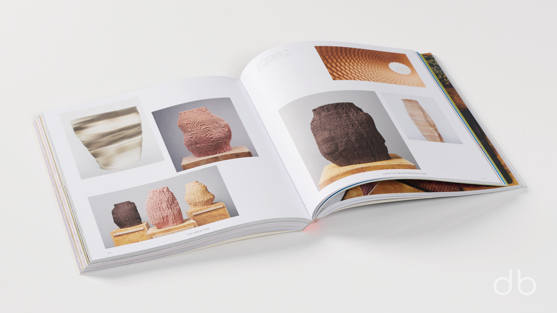 DesignerBooks_RadicalMatter_Spreads4.jpg