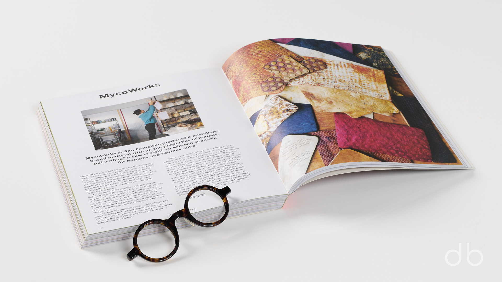 DesignerBooks_RadicalMatter_Spreads5.jpg