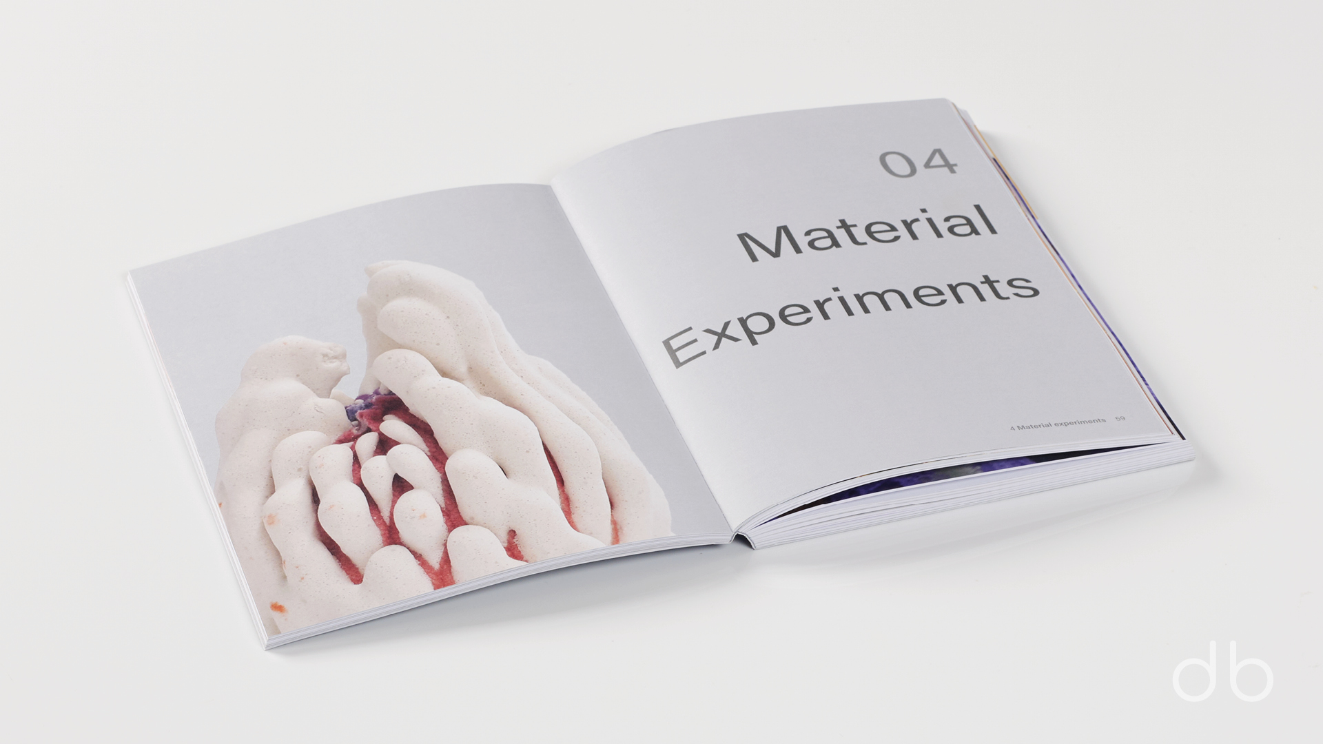 DesignerBooks_SymbioMatter_Spreads2.jpg