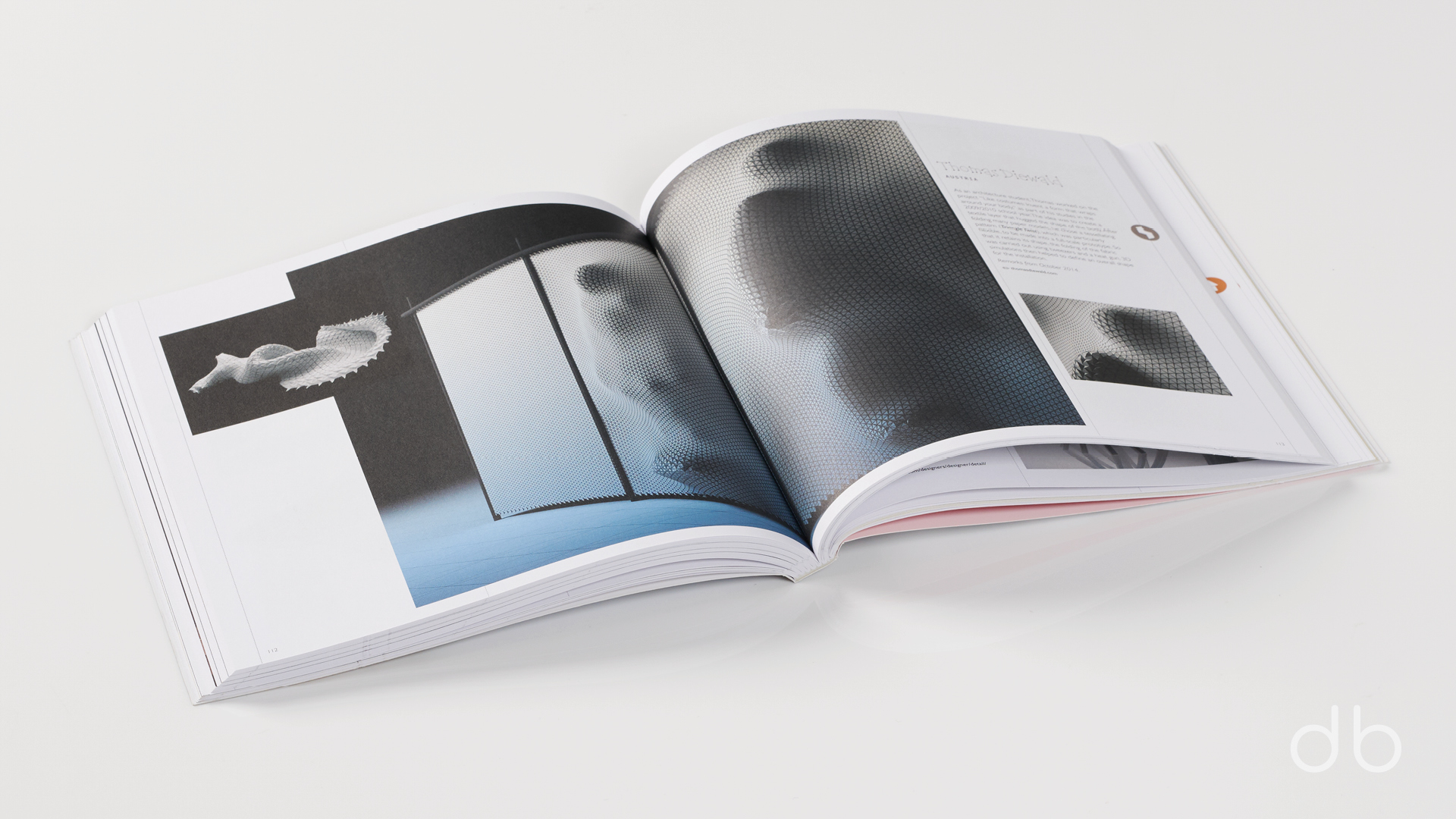 DesignerBooks_TheArtOfVoldingVol2_Spreads3.jpg