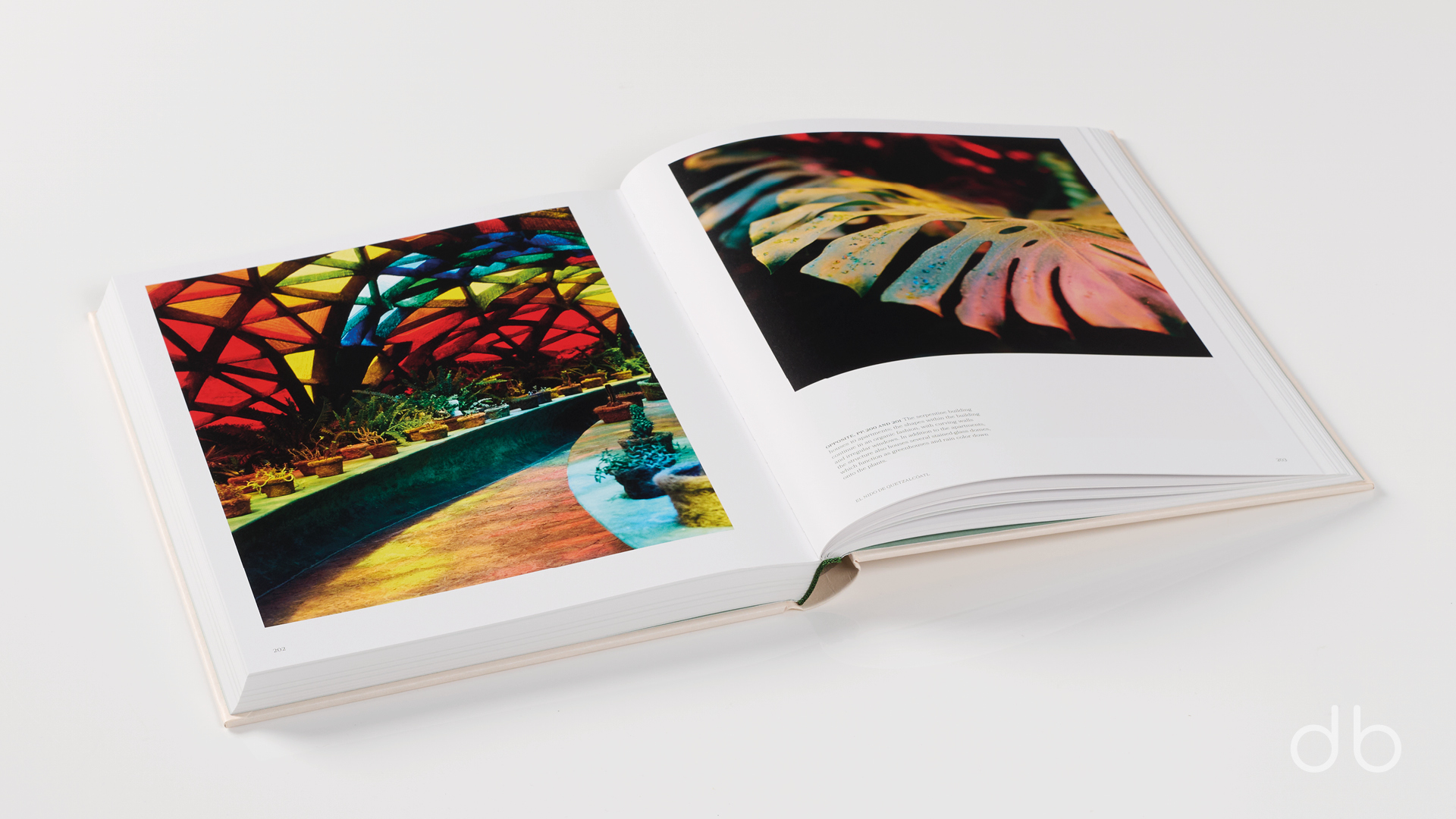 DesignerBooks_TheAvantGardens_Spreads3.jpg