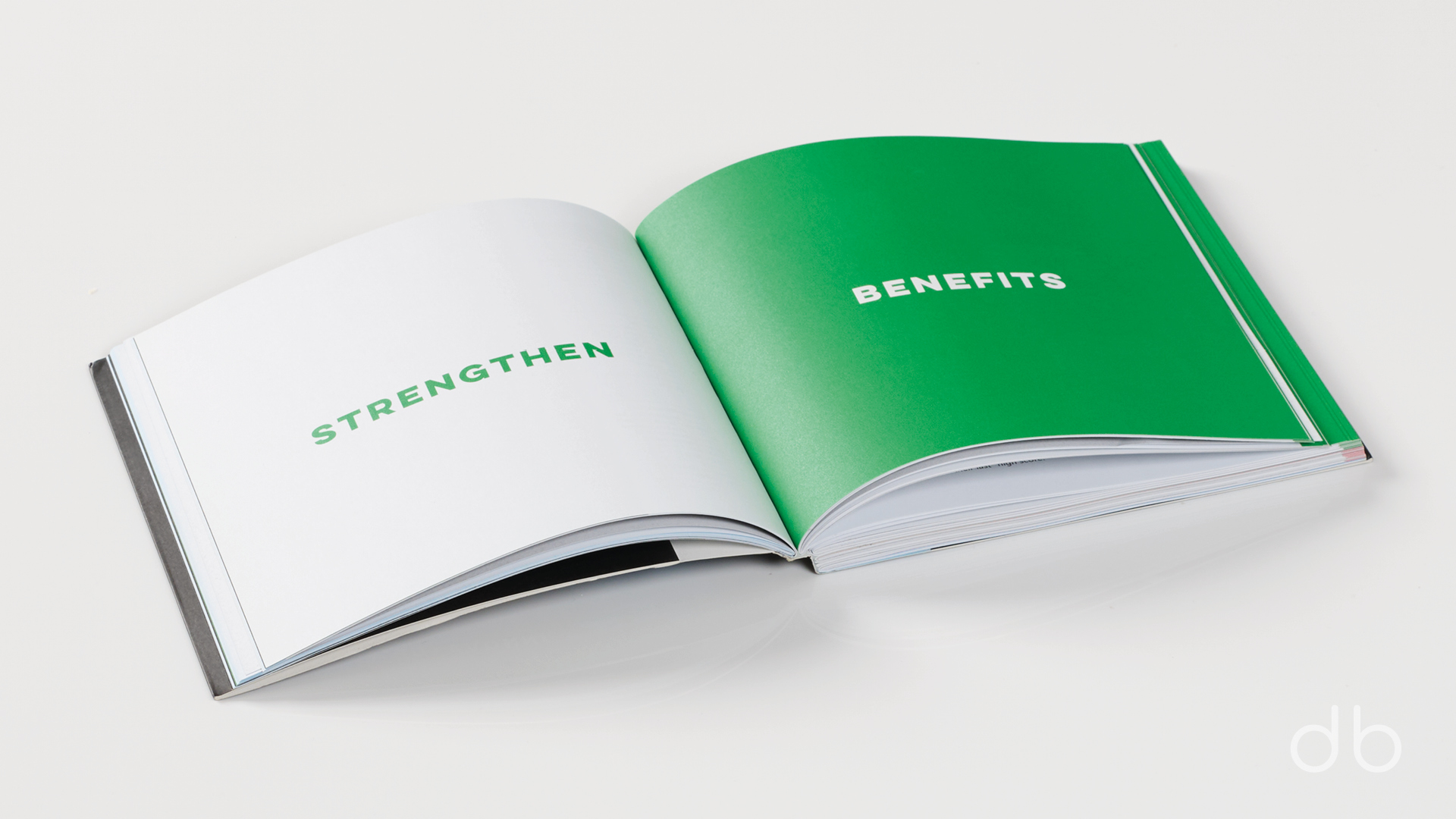 DesignerBooks_designingThingsThatMakeSense_Spreads2.jpg