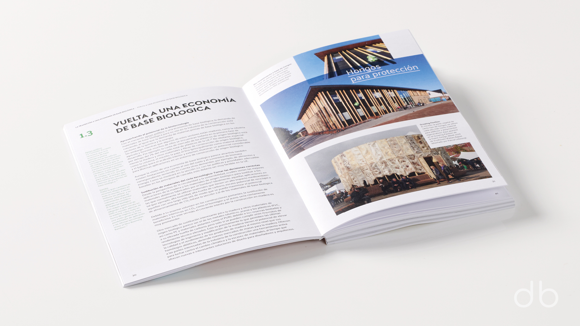 DesignerBooks_laMaderaDelManana_Spreads1.jpg