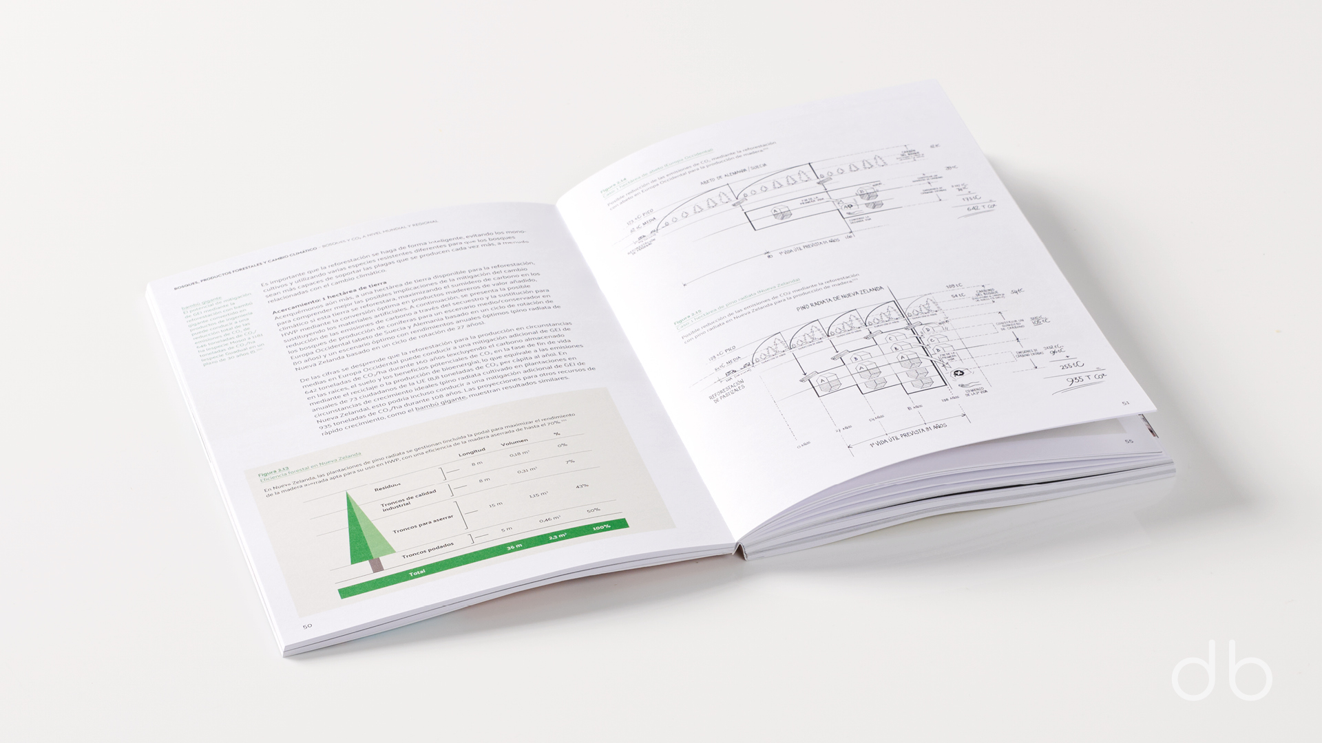 DesignerBooks_laMaderaDelManana_Spreads3.jpg
