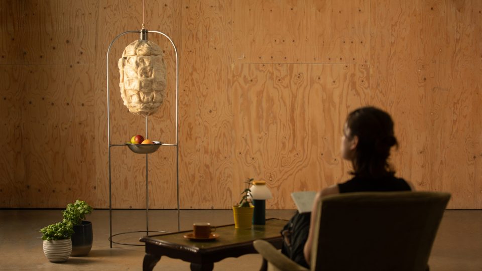 Solar-Powered Refrigerator Uses Bacterial Cellulose Insulation