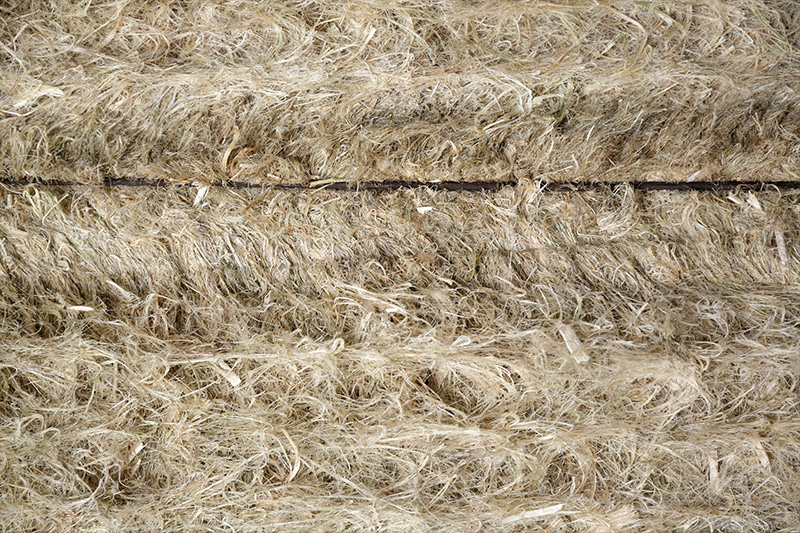 Close-up of long, pale beige hemp fibres