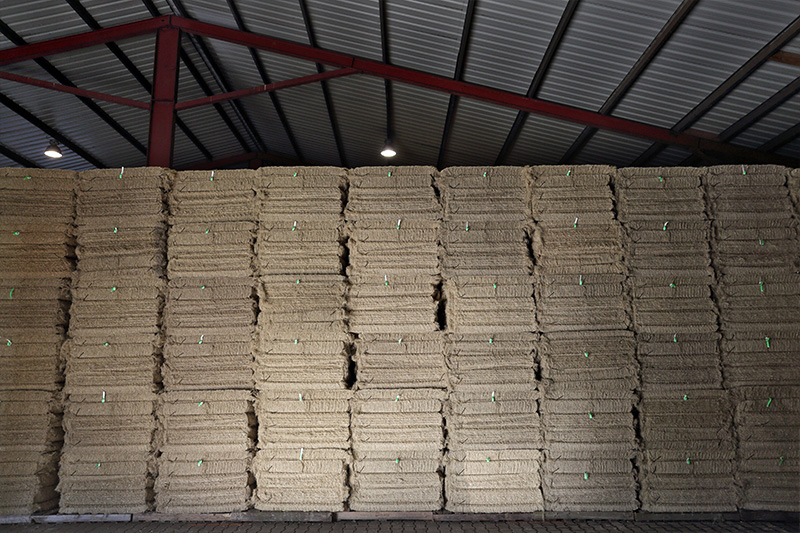 Stacks of pressed hemp fibre bales in a warehouse