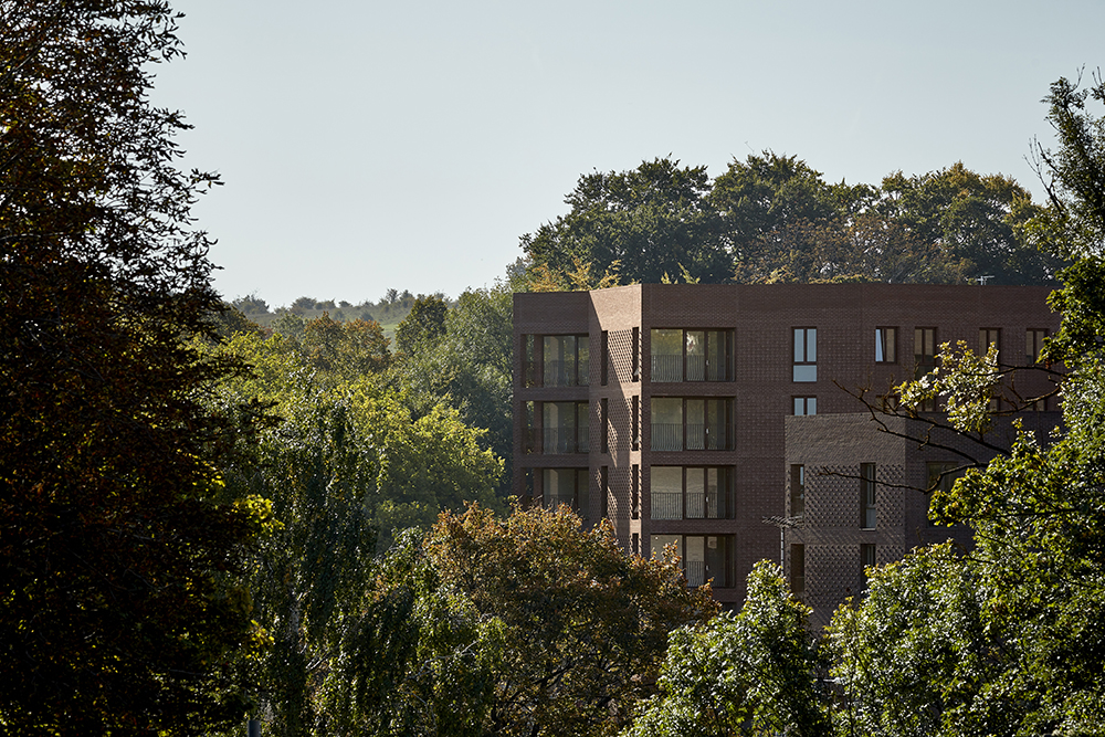 Brown brick apartment block rising above trees under a clear sky